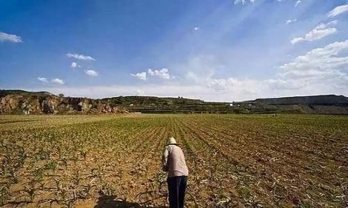 国有土地征收的补偿有哪些